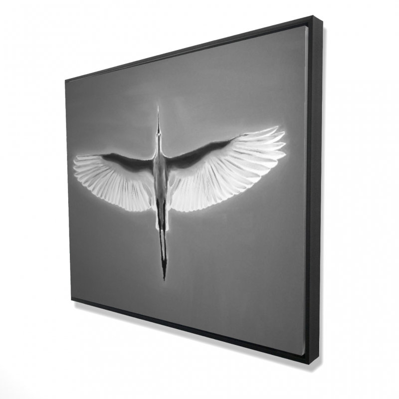 «Great Blue Heron In Flight - Bird» sur toile
