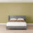 Better Home Products Izayah Velvet Upholstered Bed with 4 Storage Drawers-1682506434-1682506430