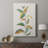Touched with Sage I -Gallery Wrapped Cavas-1191932450