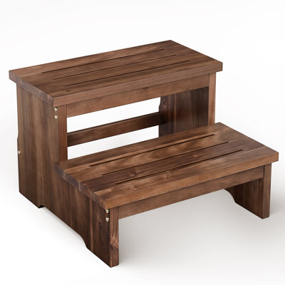 16.5" 2-Step Stool for Adult