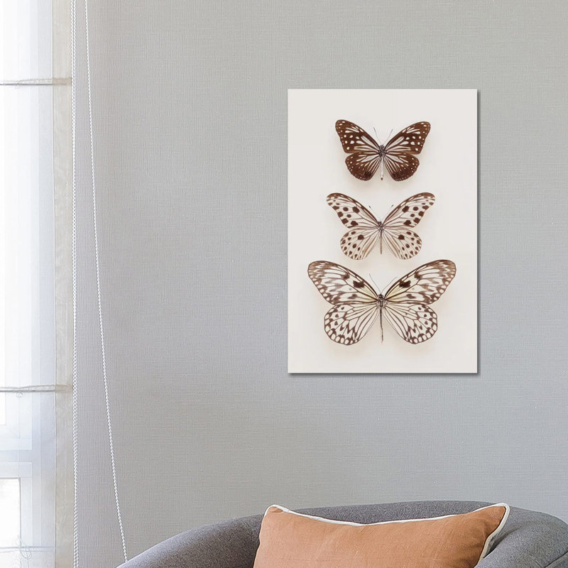 Three Butterflies by Alyson Fennell - Wrapped Canvas Print, 66.04 cm H x 45.72 cm W x 1.91 cm D