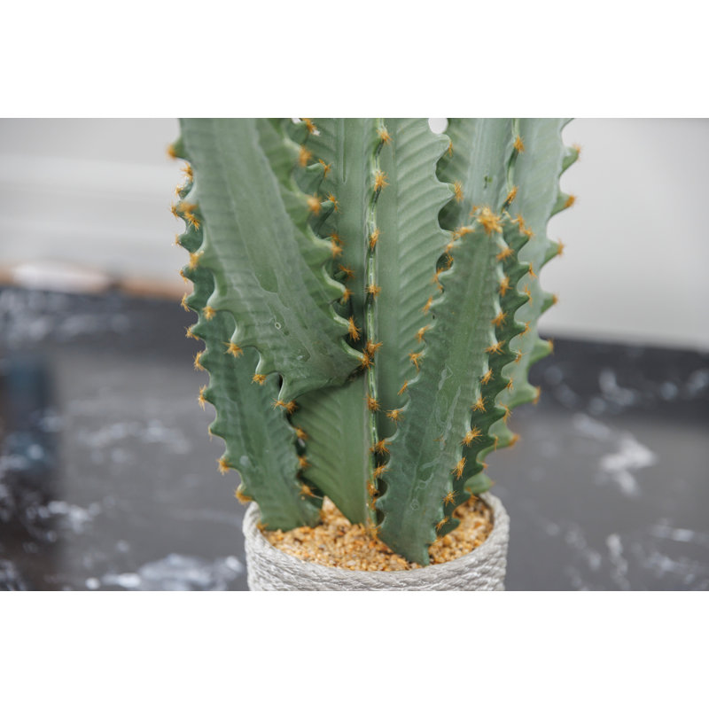 Kenwood 20" Artificial Cactus Plant in Woven Pot