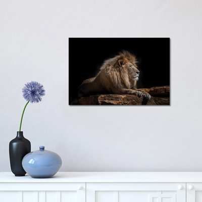 Lazarus 1 Piece Wall Art on Canvas