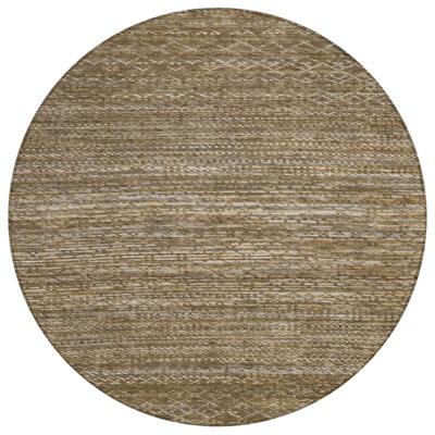 Machine Washable Indoor/Outdoor Colman ACN2150 Striped Rug