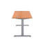 Bouton Adjustable Metal Base Standing Desk-746476136-746066992-763287909