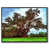 Black Floater Framed Canvas
