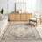 Cady SpinClean Machine Washable Transitional Area Rug-1487736052