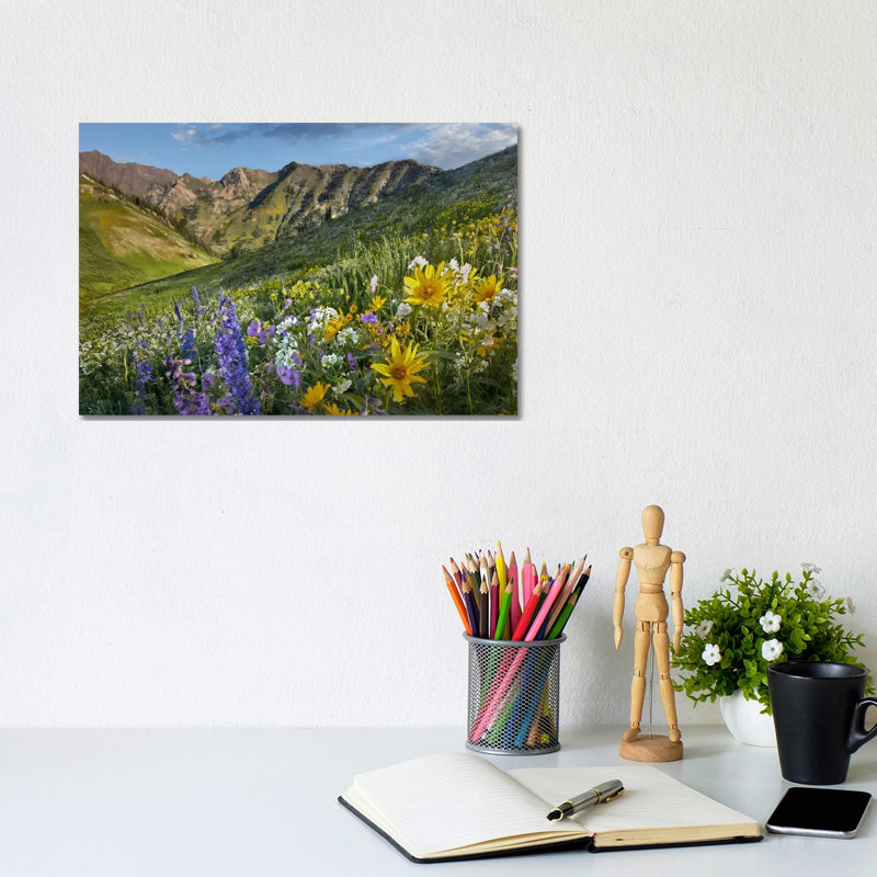 Larkspur and Sunflowers, Albion Basin, Wasatch Range, Utah 1 Piece Wrapped Canvas Wall Art, 20.32 cm H x 30.48 cm W