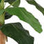 Faux Banana Leaf Tree in Pot-2029616947