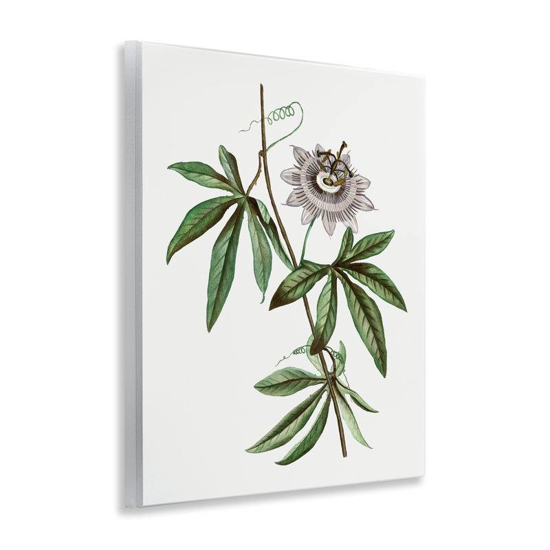 Plaque murale rétro Vintage Bloom, design par CAD Designs
