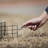 Weather Resistant Squirrel Cage