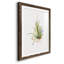 Gardenaire II - peinture encadrée-1104576838-1104576835
