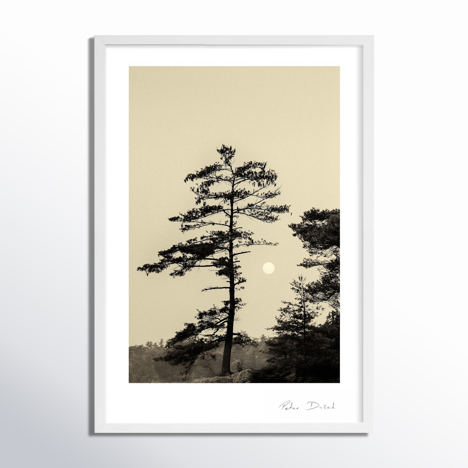 Serenity by Peter Dušek, White, 20" H x 14" W x 1.25" D