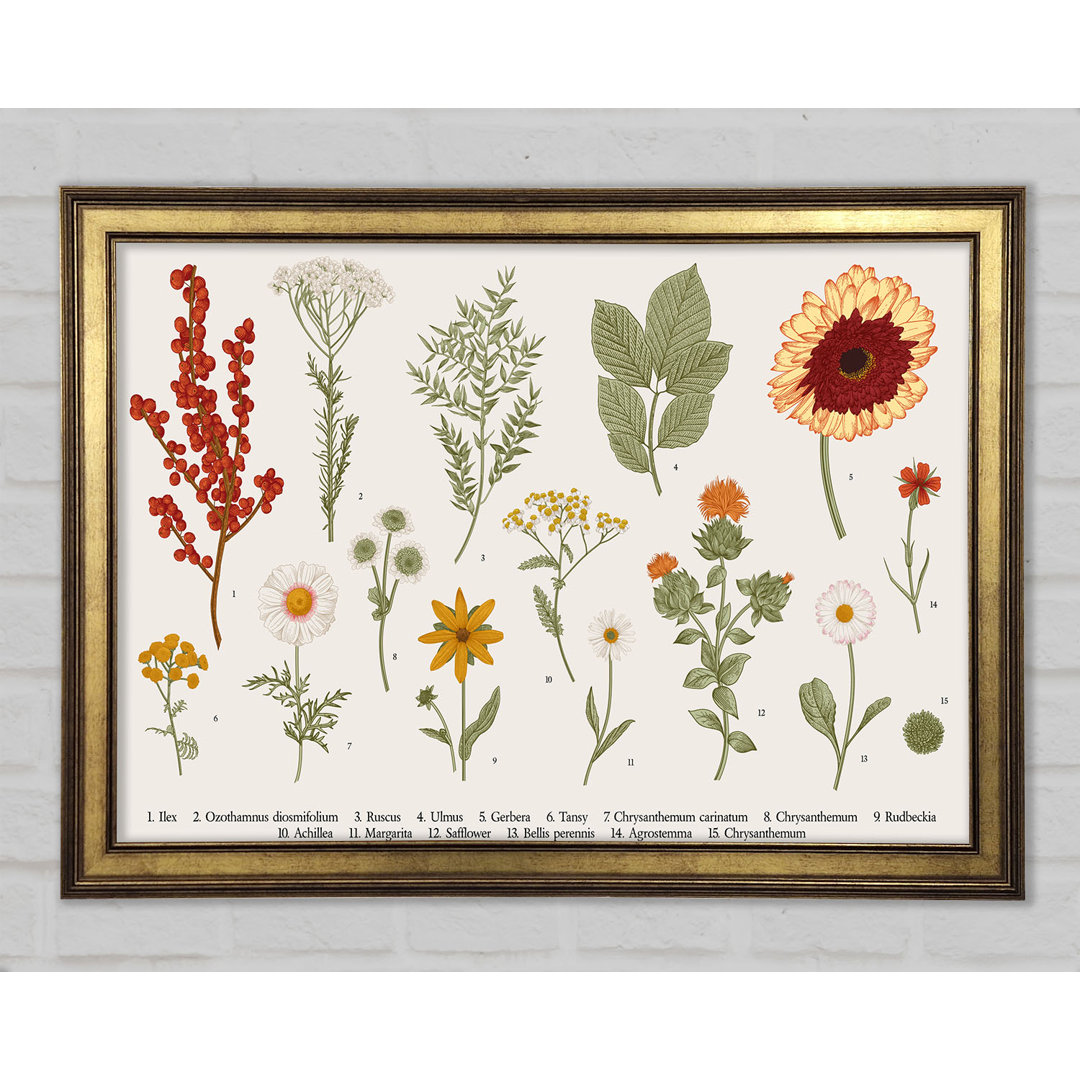 Blumen Illustration Handgezeichnet - Druck