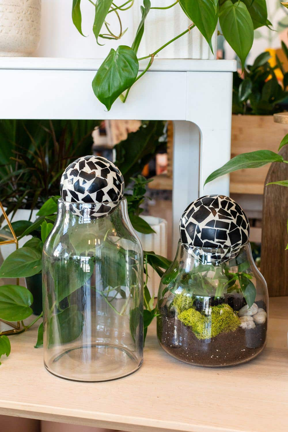 Alyssa 7" Glass Terrarium, 12" H x 5.50" W x 5.50" D