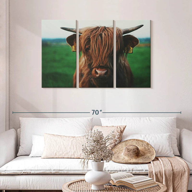 Gros plan d'une vache Highland, H 28 po x l 45 po