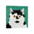 Wrapped Canvas is unavailable