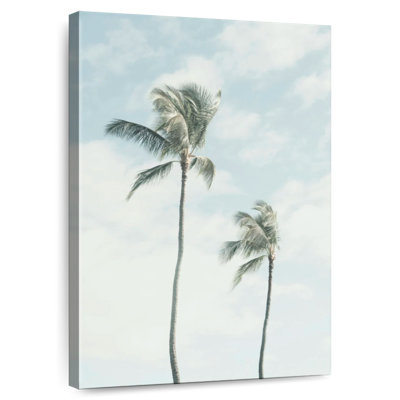 Palm Sway