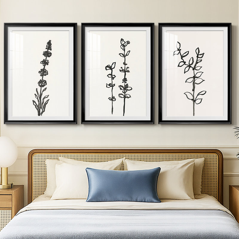 Encre botanique croquis VII - reproduction encadrée sur mesure de qualité supérieure - 3 pièces, H 15 po x l 19 po, Noir
