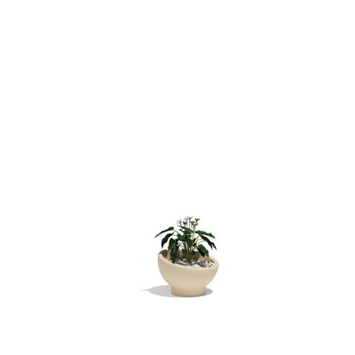 Luna Planter