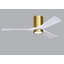 Irene LED Ceiling Fan-98976998-24425152-99192944