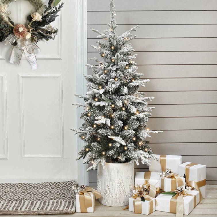 Hannia 4' Lighted Artificial Pine Christmas Tree