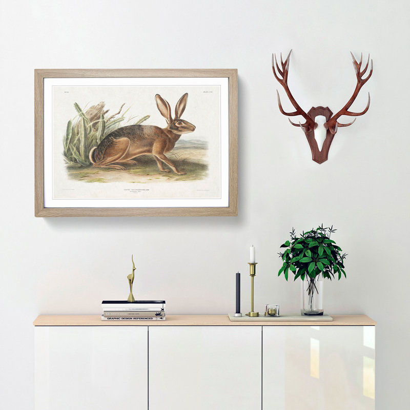 Californian Hare by J.W. Audubon - Picture Frame Painting Print, Oak Framed, 36cm H x 48cm W x 2cm D
