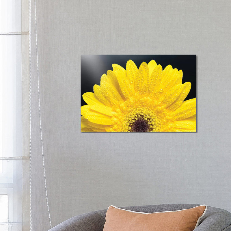 Yellow Gerber Daisy - Wrapped Canvas Print, 66.04 cm H x 45.72 cm W