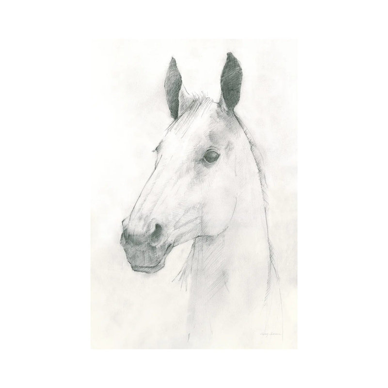 Caesar 1 Piece Wrapped Canvas Wall Art, 20.32 cm H x 30.48 cm W