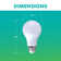 60-Watt Equivalent A19 Dimmable LED Light Bulb, 2700K Soft White, 8-pack