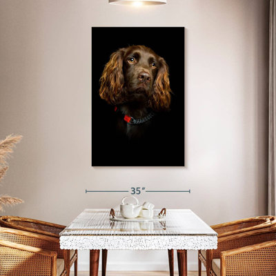 Somber Cocker Spaniel