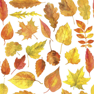 Feuilles d'automne à l'aquarelle