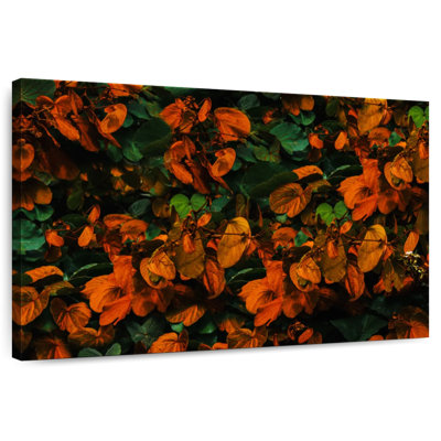 Harnek Vibrant Autumn Leaves