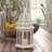 12.25'' H Tabletop Lantern