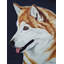 Drapeau de jardin sibérie husky-1731214111