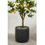 Finnlie Handmade Pot Planter-851669767-851669764