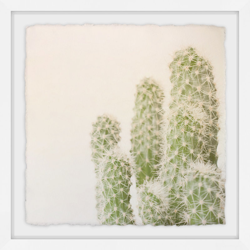 White Fuzzy Cactus - Single Picture Frame Print, 81cm H x 81cm W x 3.81cm D