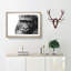 Gorilla with Brown Eyes - Picture Frame Graphic Art Print-56713303-56713304