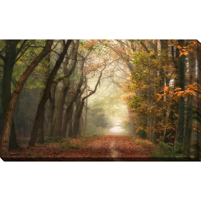 " Path Of Dreams " by Lars Van De Goor, Wrapped Canvas, 36" H x 60" W x 1.5" D