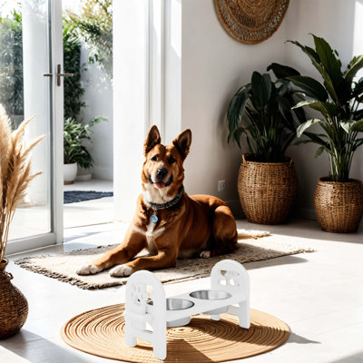 Bol réglable et pliable pour animaux en matériau recyclé durable, parfait pour les voyages et les soins quotidiens des animaux de compagnie