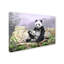 Armand «Panda», reproduction sur toile-21645904