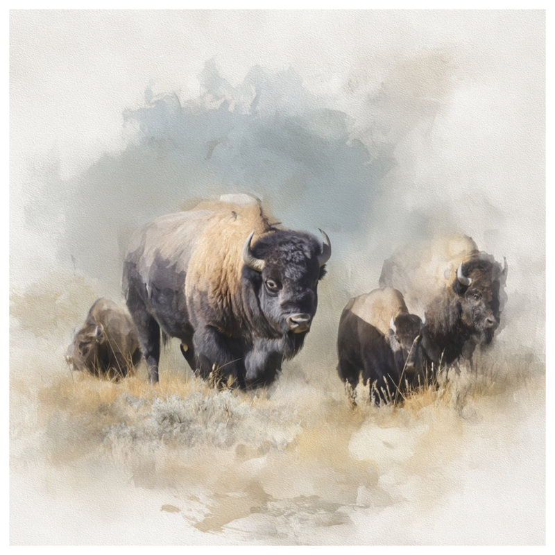 Bison Watercolor Art Bedding Bison, couvre-lit animal, Double