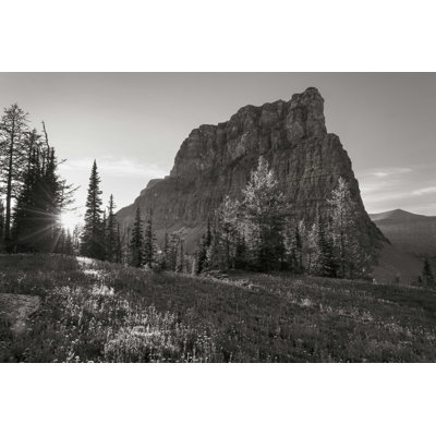 Parc national de Boulder Pass Glacier BW