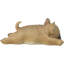 Adorable figurine de chien de bouledogue français 5 po de long