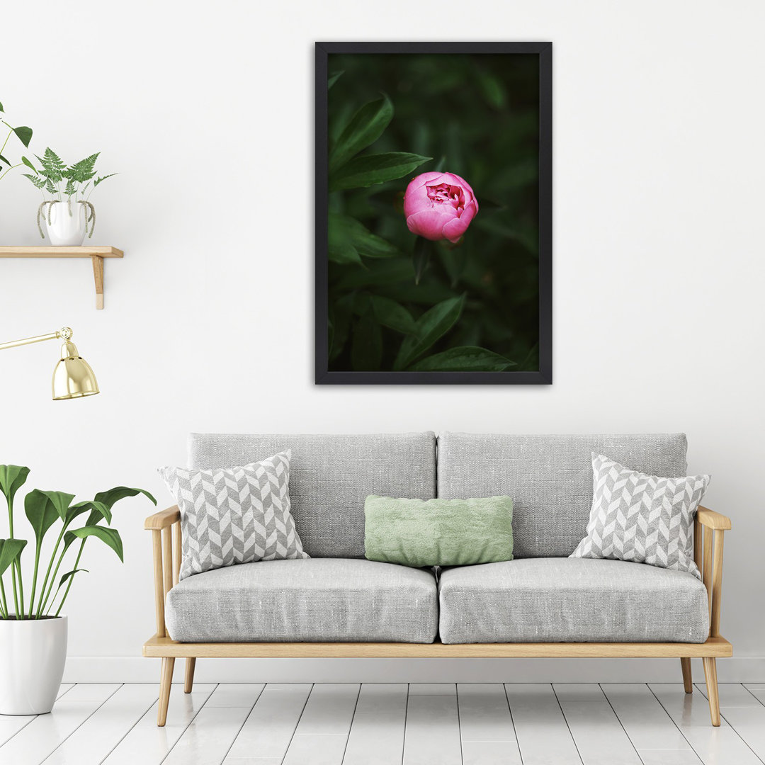 Gerahmter Fotodruck Solitary Pink Peony