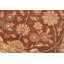 Tapis brun Allessandra 6 pi 2 po x 9 pi 2 po One-of-a-Kind