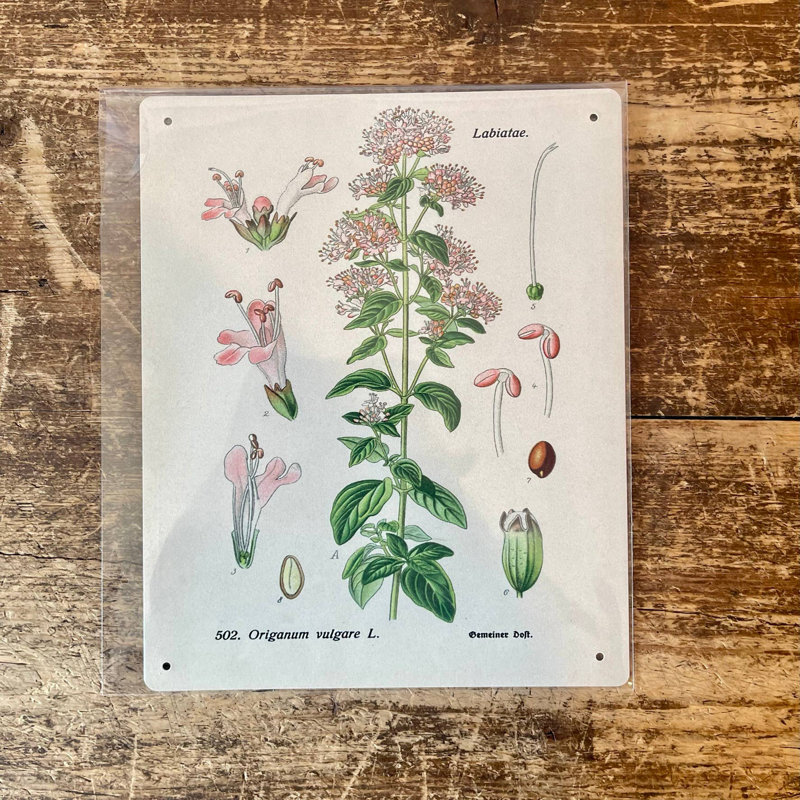 Handmade Plants & Flowers Wall Decor on Metal, 25cm H x 20cm W