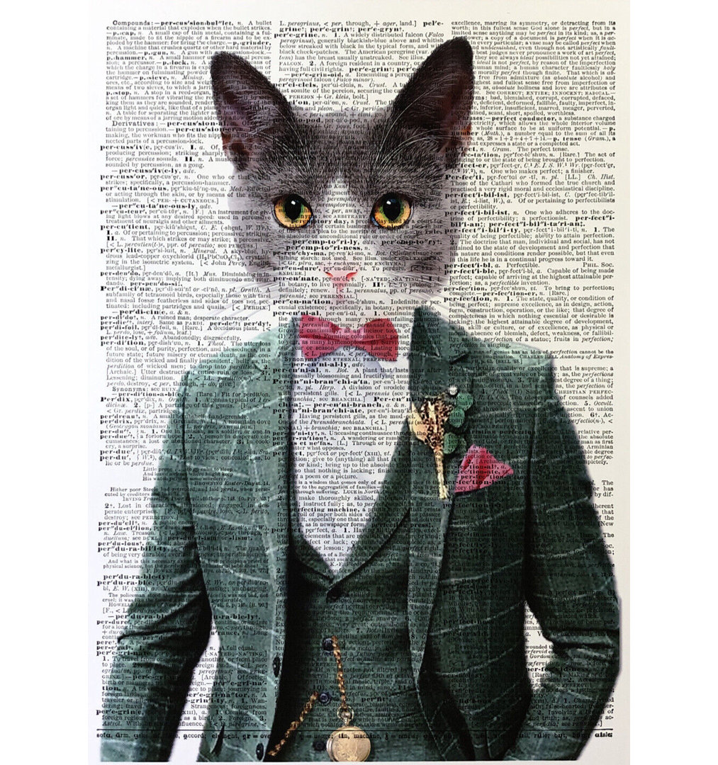 A3 Cat Dictionary Print - Humanised Cat Wall Art - Animal In Suit Portrait - Cat Lover Print - Quirky Cat Print
