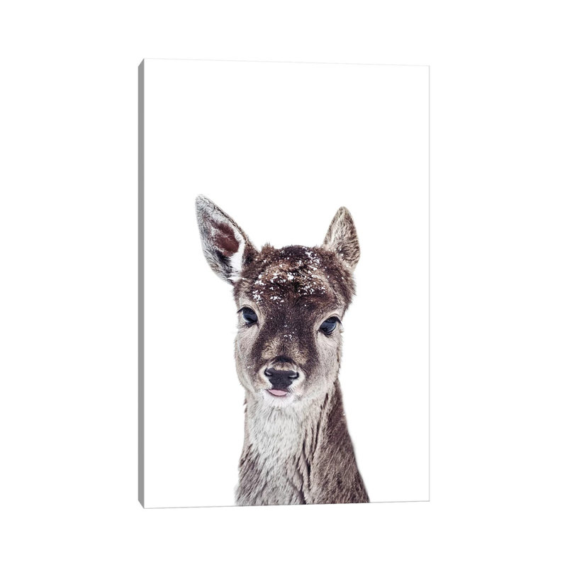 Little Fawn Fiona by Monika Strigel - Wrapped Canvas Painting, 20.32 cm H x 30.48 cm W