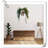 Kalesia Planter-1712481617